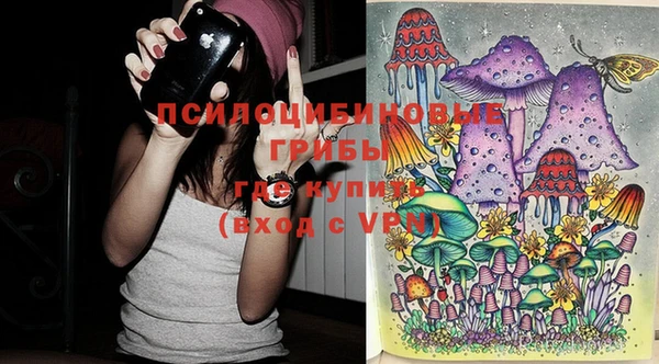 дживик Нягань