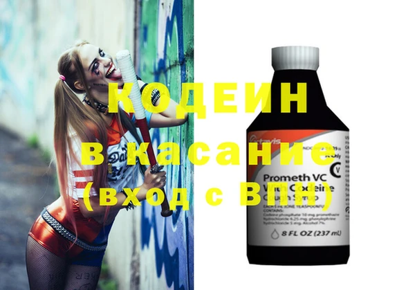 дживик Новозыбков