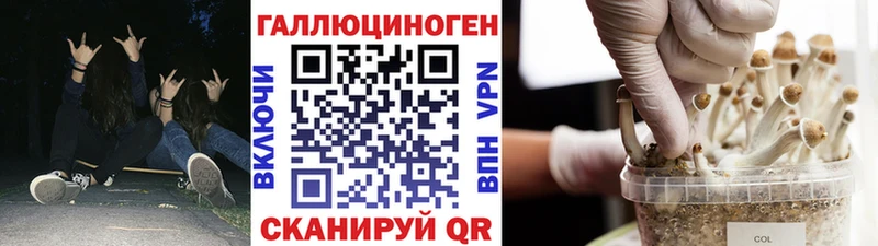 kraken маркетплейс  Миллерово  площадка Telegram  Псилоцибиновые грибы MAGIC MUSHROOMS 