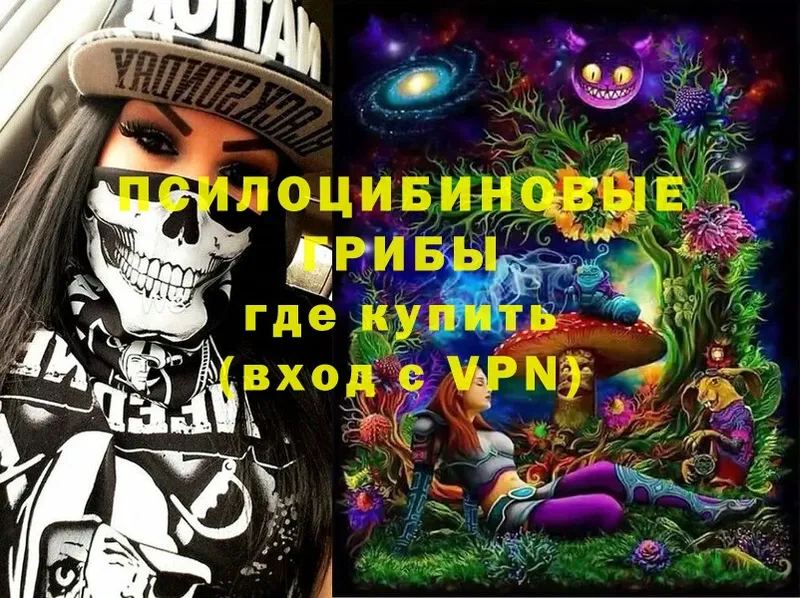 mega онион  Миллерово  Псилоцибиновые грибы Magic Shrooms 