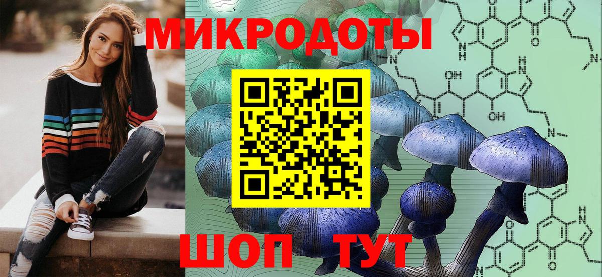 купить закладку  Псилоцибиновые грибы ЛСД  Вход с VPN  Галлюциногенные грибы Psilocybine cubensis  Миллерово 