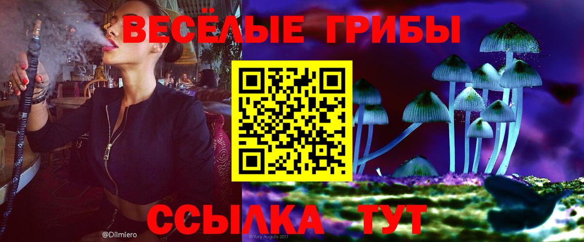 Псилоцибиновые грибы ЛСД Миллерово